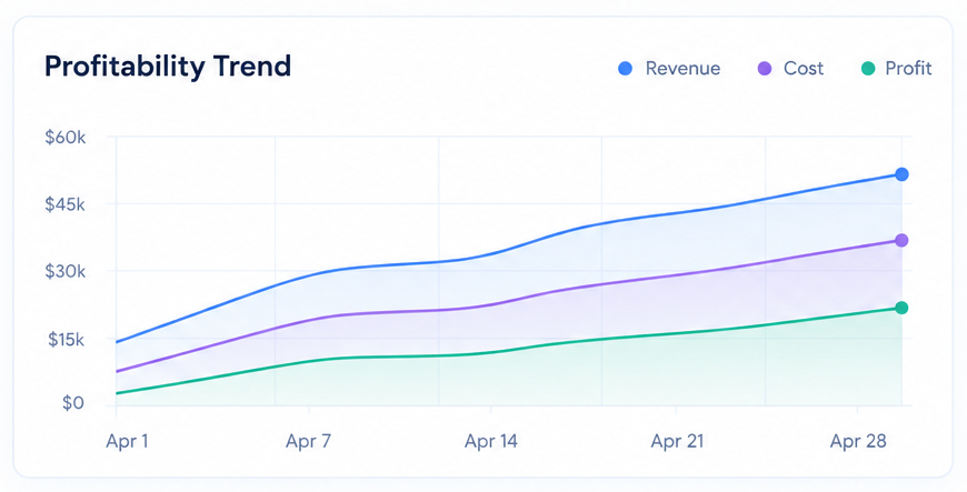 Profitability Chart in Project Finance